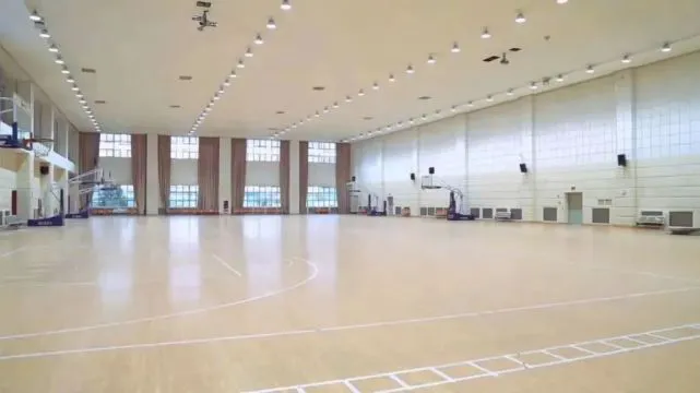 篮球训练新闻稿_0